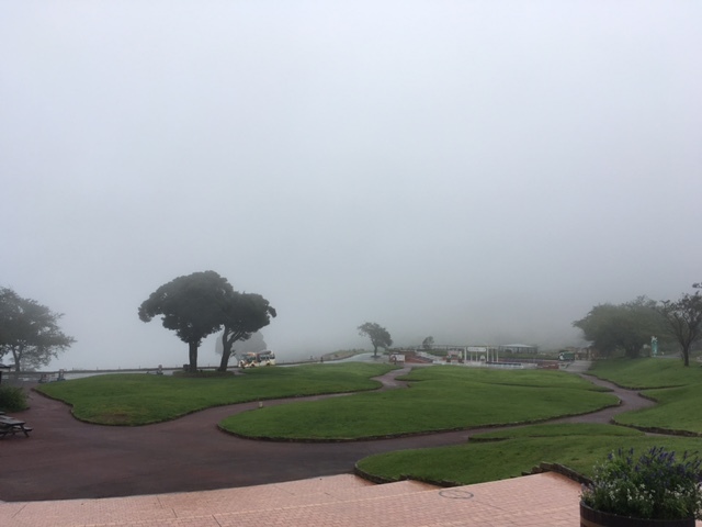 台風　天気　リライト横浜