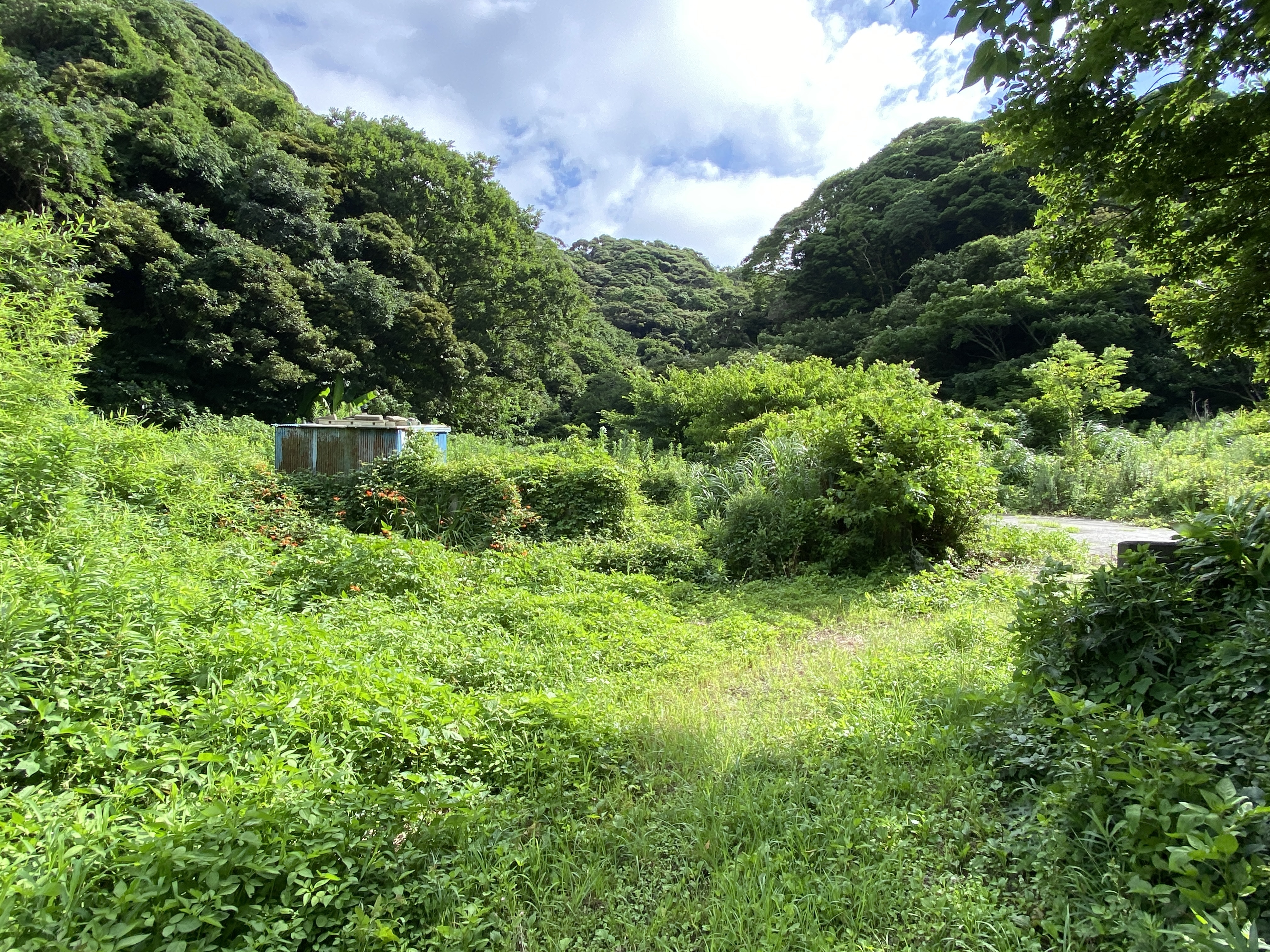 山奥の原野　処分