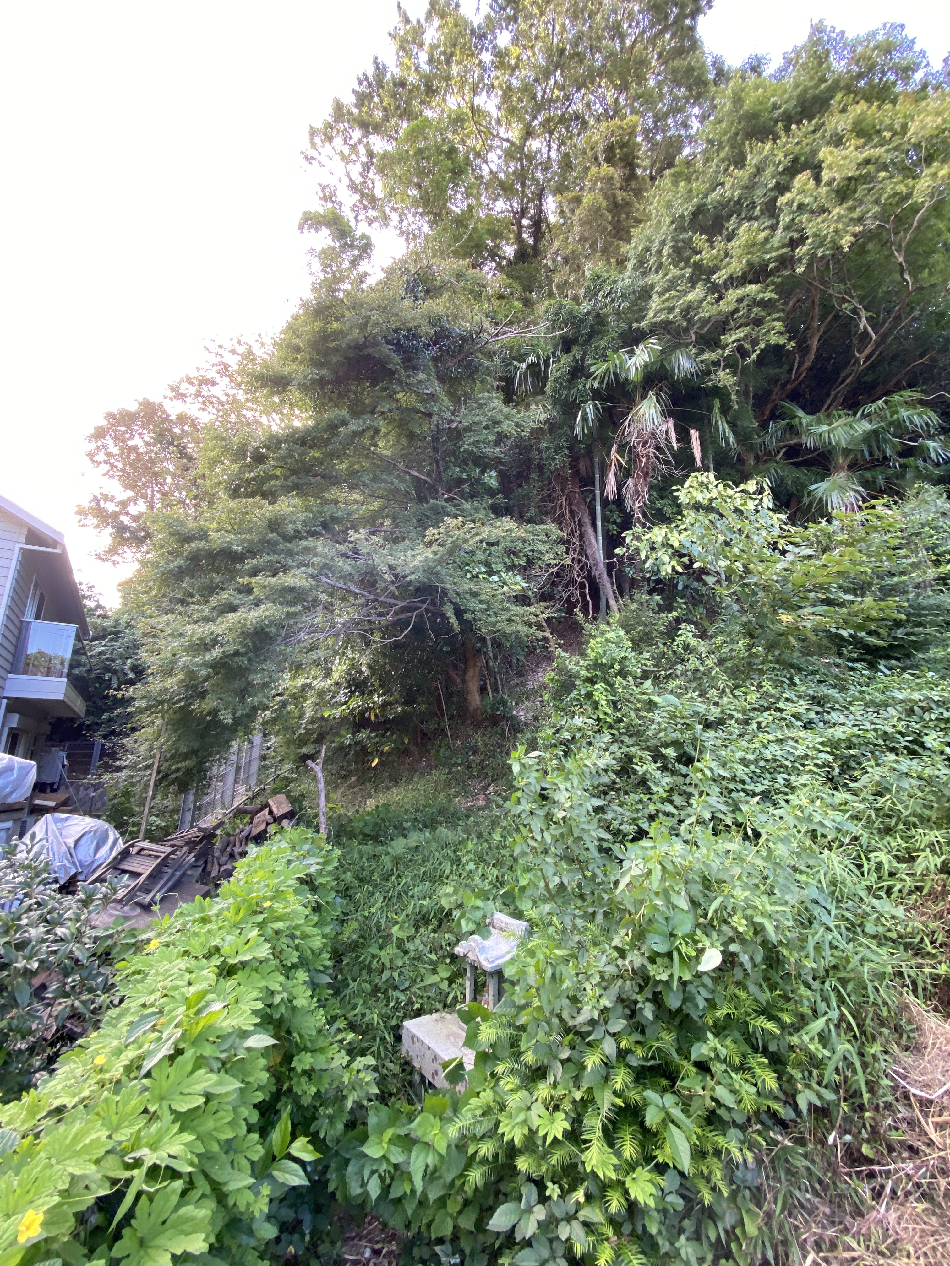 葉山町　山林売却